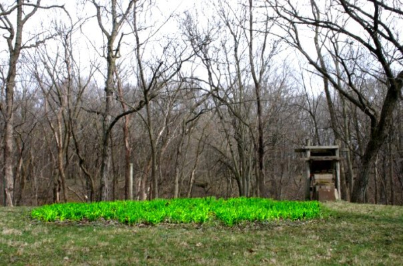 Illustration for article titled Shooting Challenge: Spring Part 3